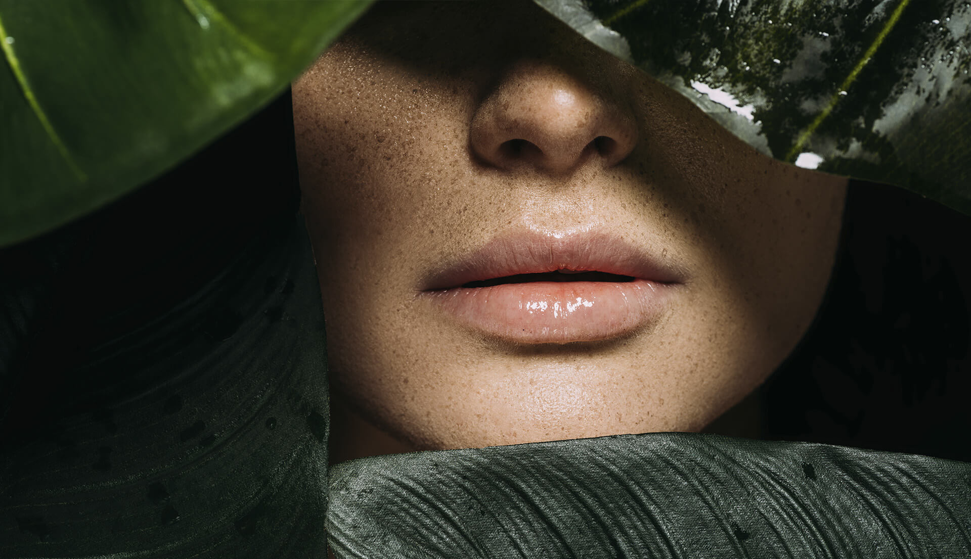 Magnolia Organic Skincare