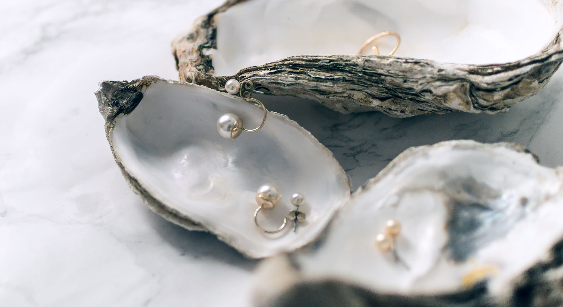 Paragon <br>Fine Jewelry