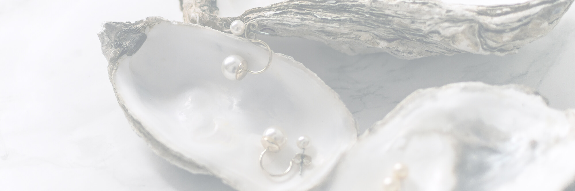 Paragon <br>Fine Jewelry